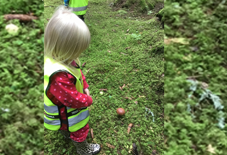 Upptäckt i naturen.